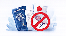 No Visa No Payment